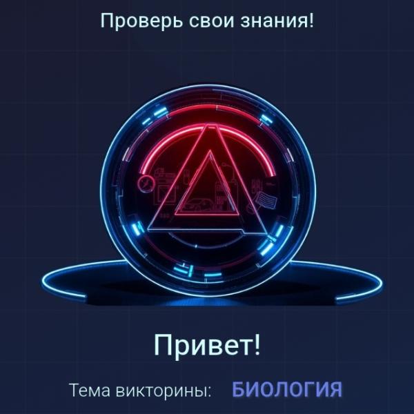 Квиз - викторина